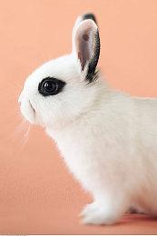 《女神异闻录3：Reload》IGN 9分：值得重温的经典之作